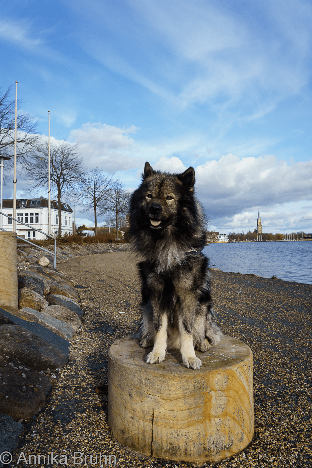 Skulptur eines Q´s!